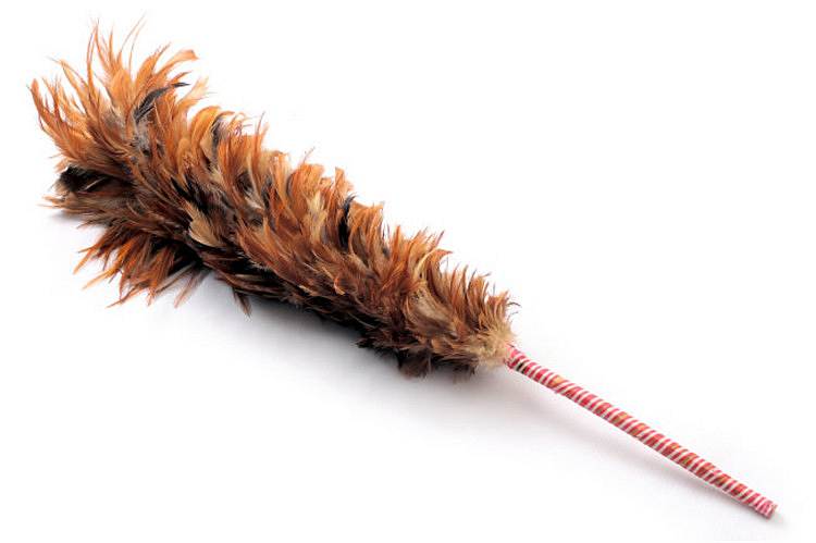 国产90cm鸡毛掸子(单位:个)|其他清洁工具|清洁工具|生活用品|得力办
