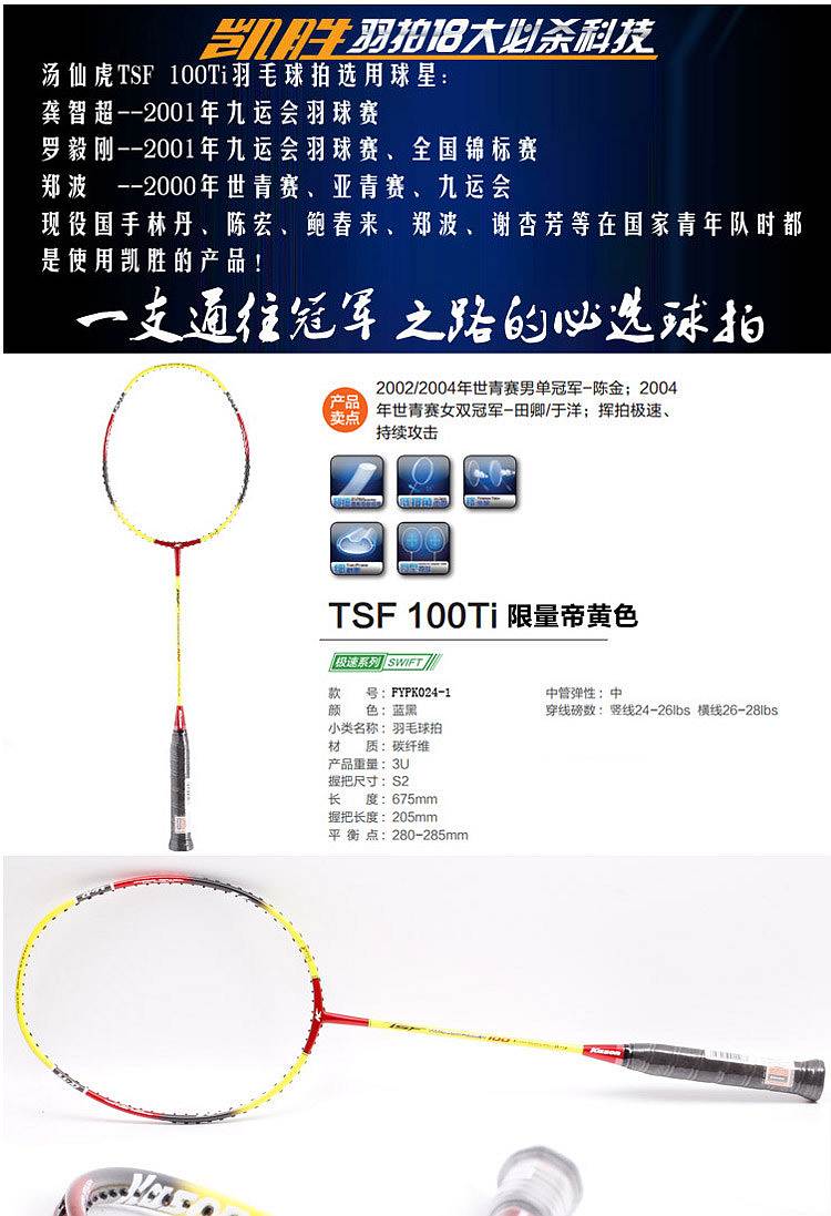 凯胜100ti羽毛球拍蓝金 (单位:支)_羽毛球_球类运动_文体用品_济南一