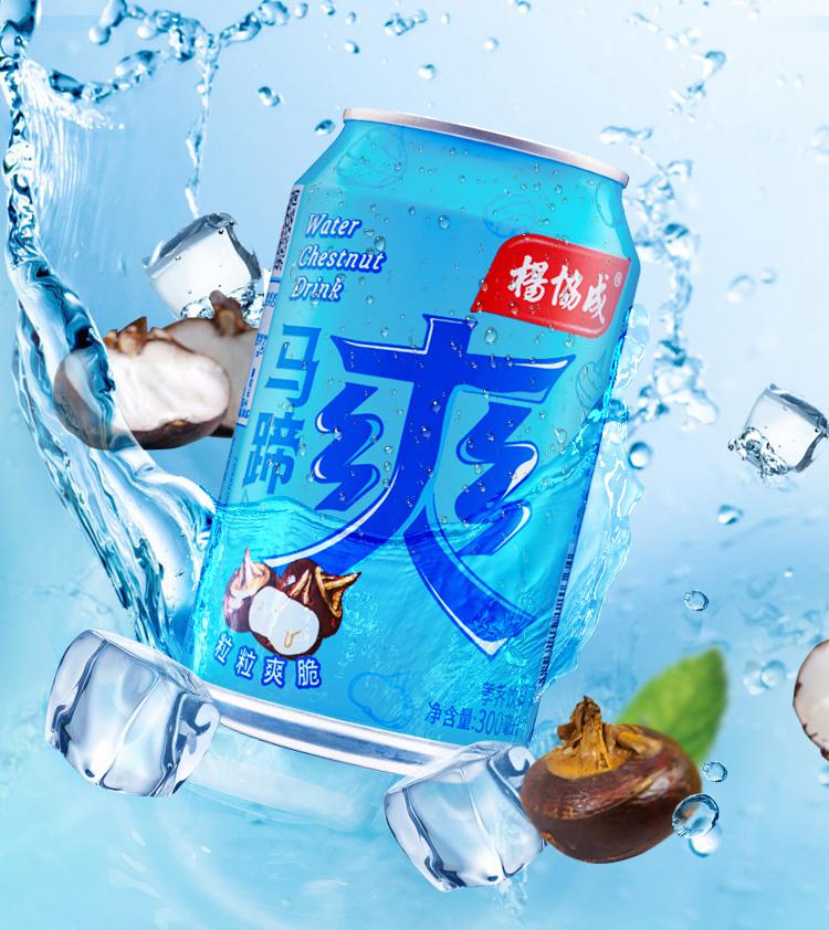 杨协成马蹄爽荸荠饮料300ml*6罐(组)|运动/健康饮料|酒水饮料|食品